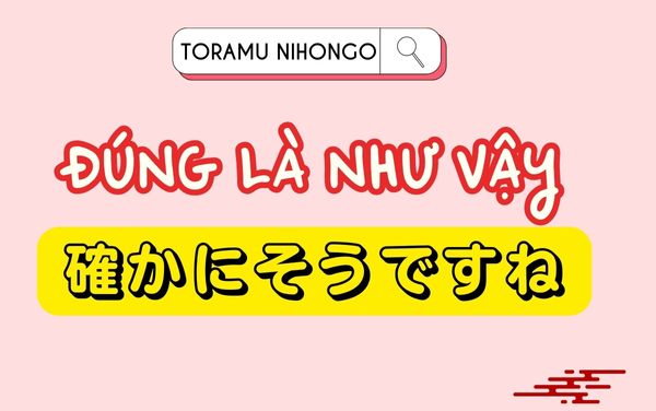 đồng ý trong tiếng nhật 確かにそうですね